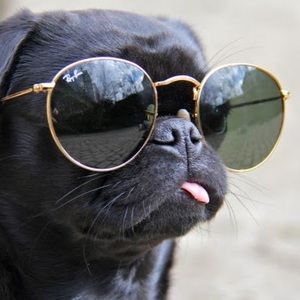 Meet your Posher, Cameron